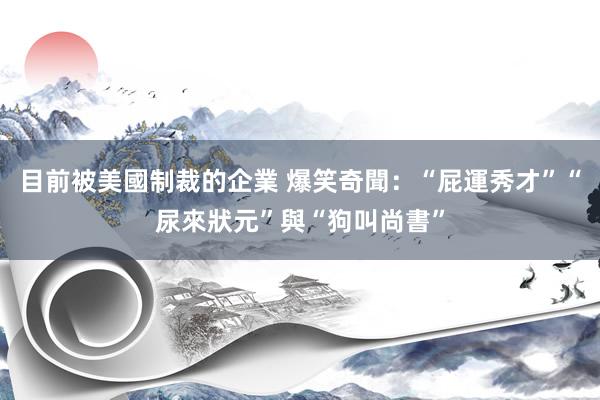 目前被美國制裁的企業 爆笑奇聞：“屁運秀才”“尿來狀元”與“狗叫尚書”