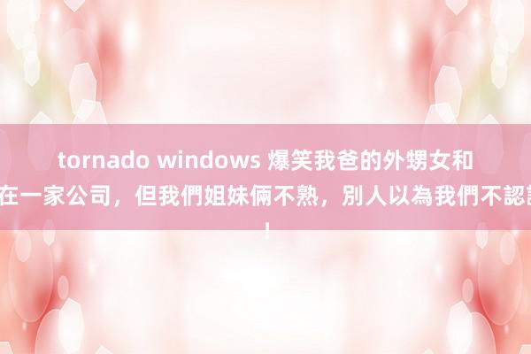 tornado windows 爆笑我爸的外甥女和我在一家公司，但我們姐妹倆不熟，別人以為我們不認識！